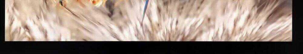 Tuyệt Thế Vô Song 2 Chapter 57 trang 37