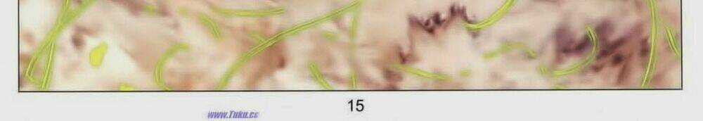 Tuyệt Thế Vô Song 2 Chapter 66 trang 27