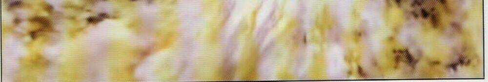 Tuyệt Thế Vô Song 2 Chapter 75 trang 39