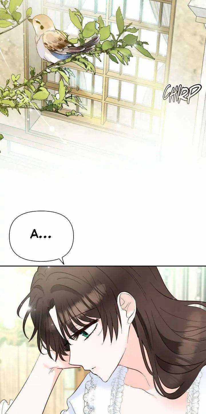 Two Names Of Night Chapter 5 trang 22