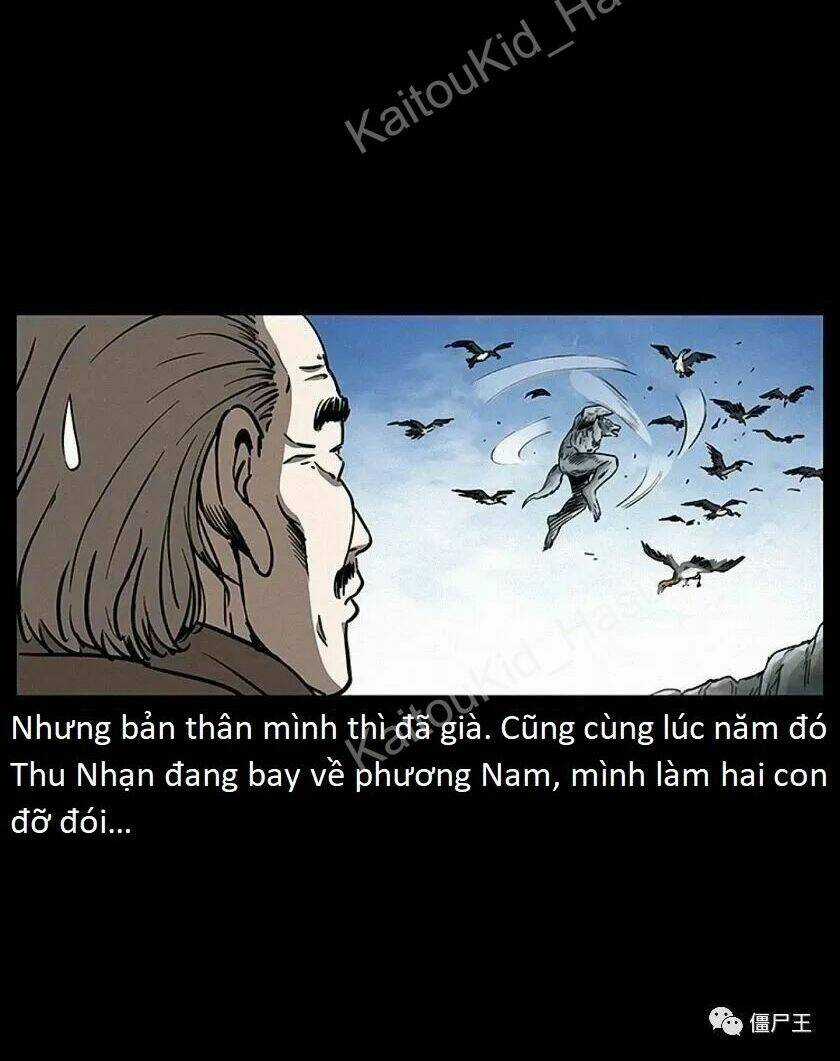 U Minh Ngụy Tượng Chapter 308 trang 33