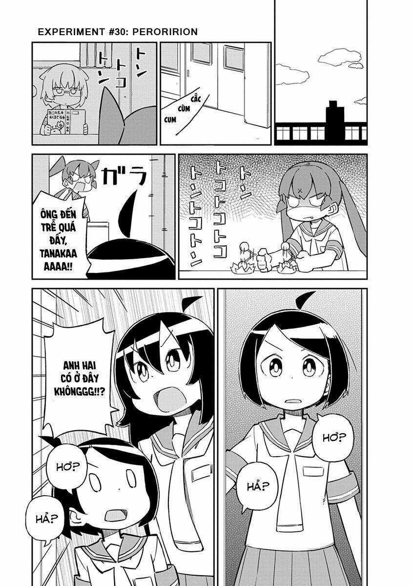 Ueno-San Wa Bukiyou Chapter 30 trang 1