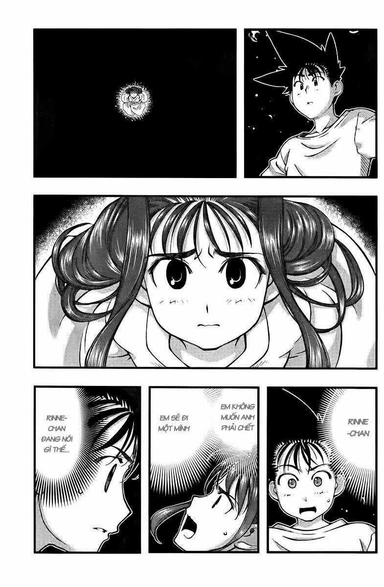 Umi no Misaki Chapter 109 trang 5