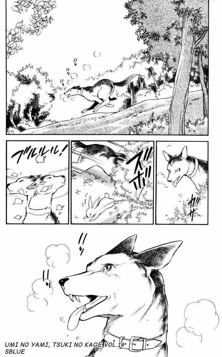 Umi No Yami, Tsuki No Kage Chapter 71 trang 23