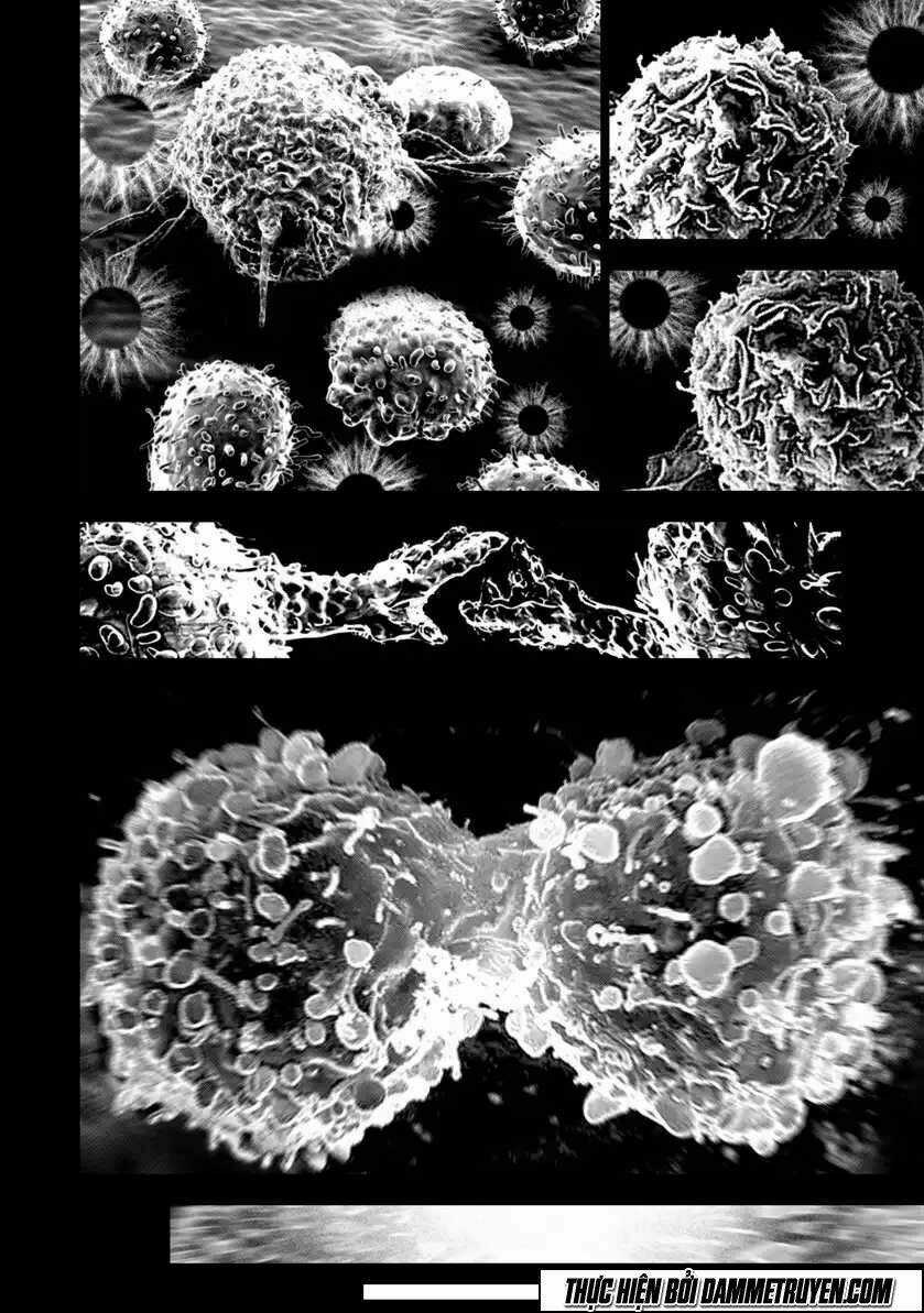 Unity of Heaven Chapter 63 trang 10