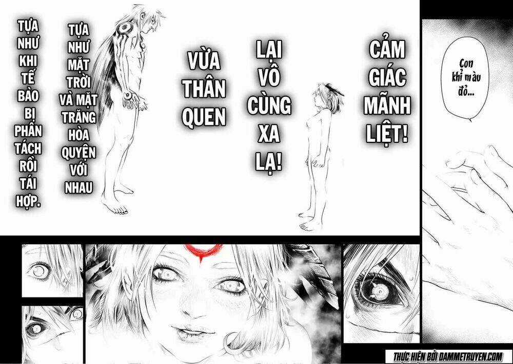 Unity of Heaven Chapter 63 trang 12