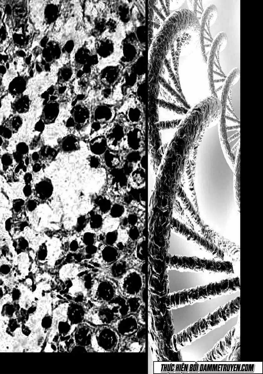 Unity of Heaven Chapter 63 trang 9