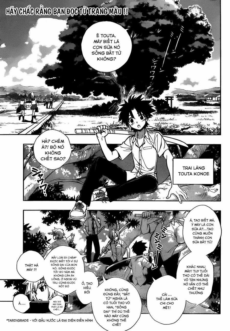 Uq Holder Chapter 1 trang 7