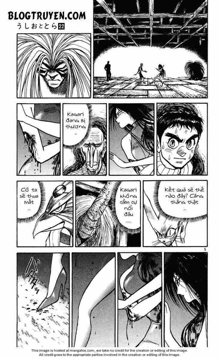 Ushio And Tora Chapter 206 trang 7