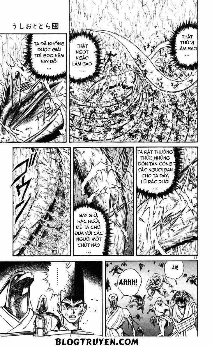 Ushio And Tora Chapter 212 trang 11