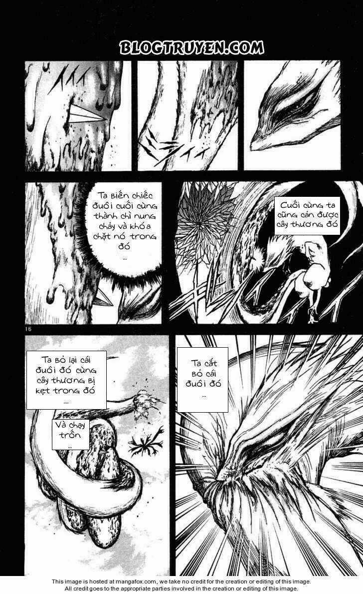 Ushio And Tora Chapter 213 trang 17