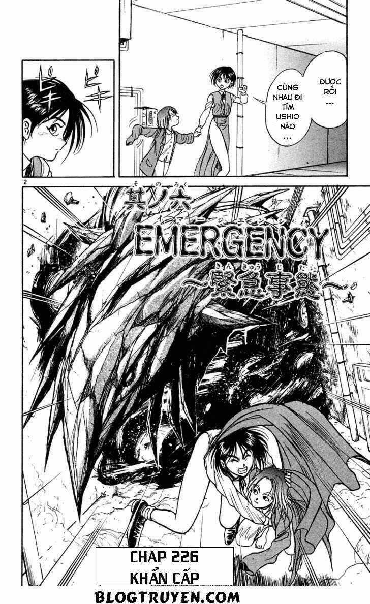 Ushio And Tora Chapter 226 trang 4
