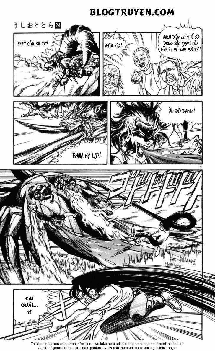 Ushio And Tora Chapter 227 trang 7