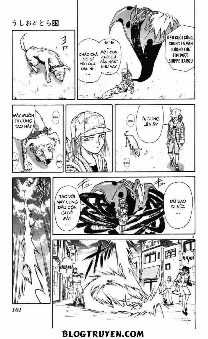 Ushio And Tora Chapter 234 trang 6