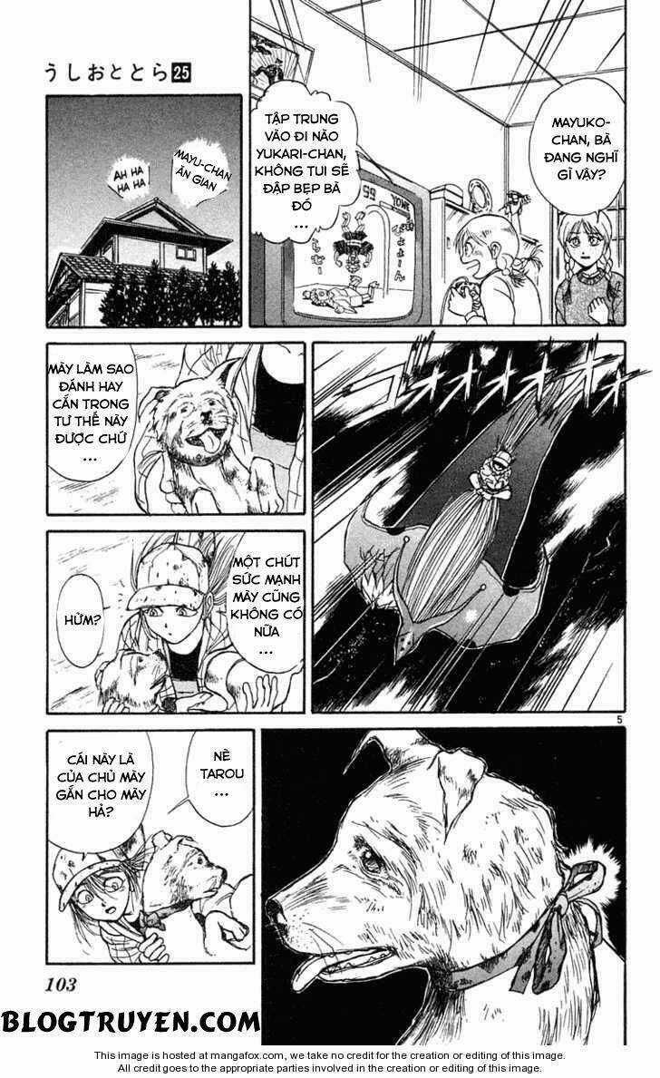 Ushio And Tora Chapter 234 trang 8