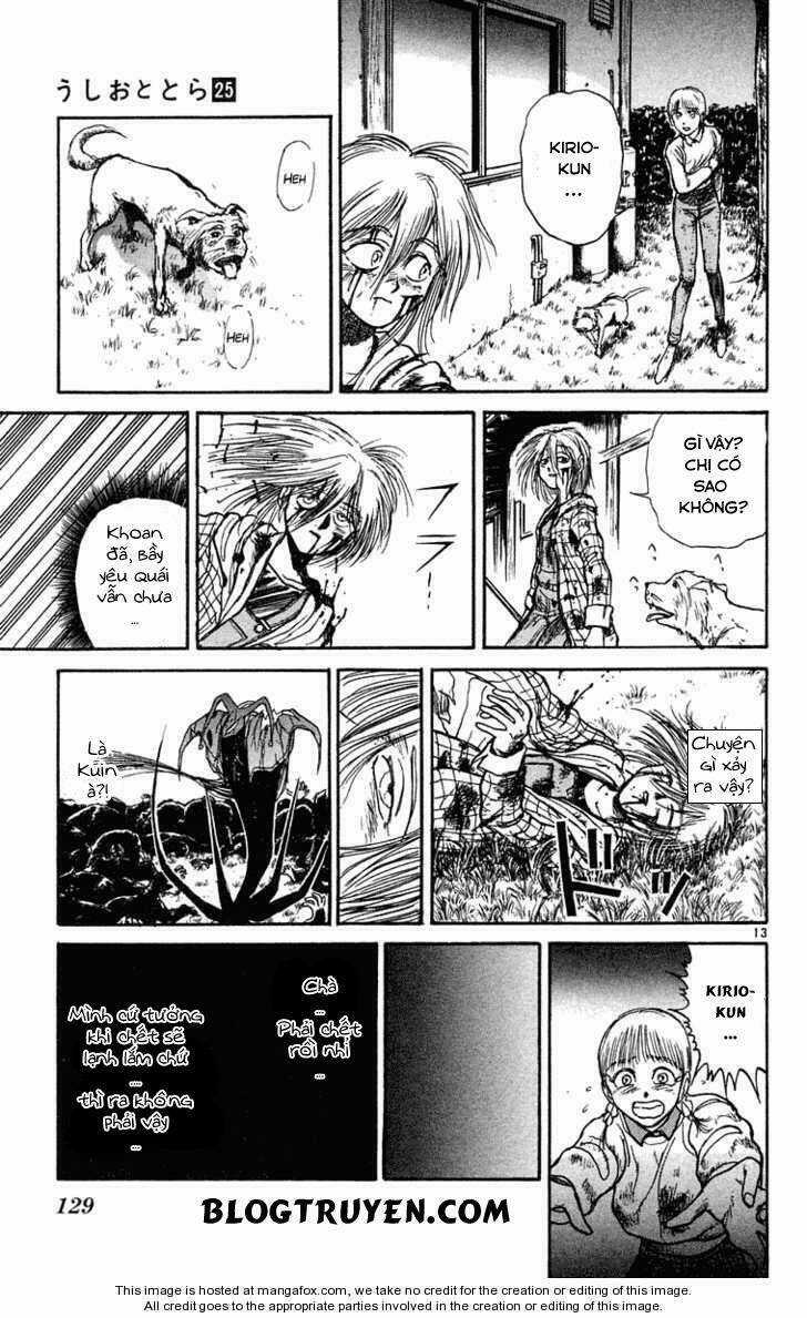 Ushio And Tora Chapter 235 trang 15