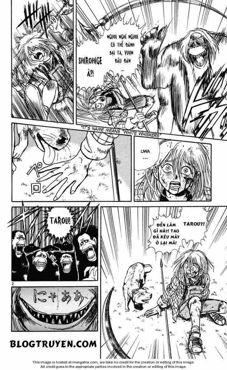 Ushio And Tora Chapter 235 trang 4