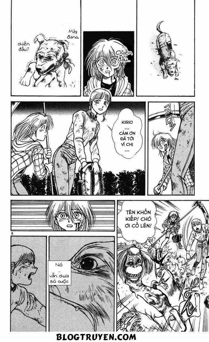 Ushio And Tora Chapter 235 trang 8