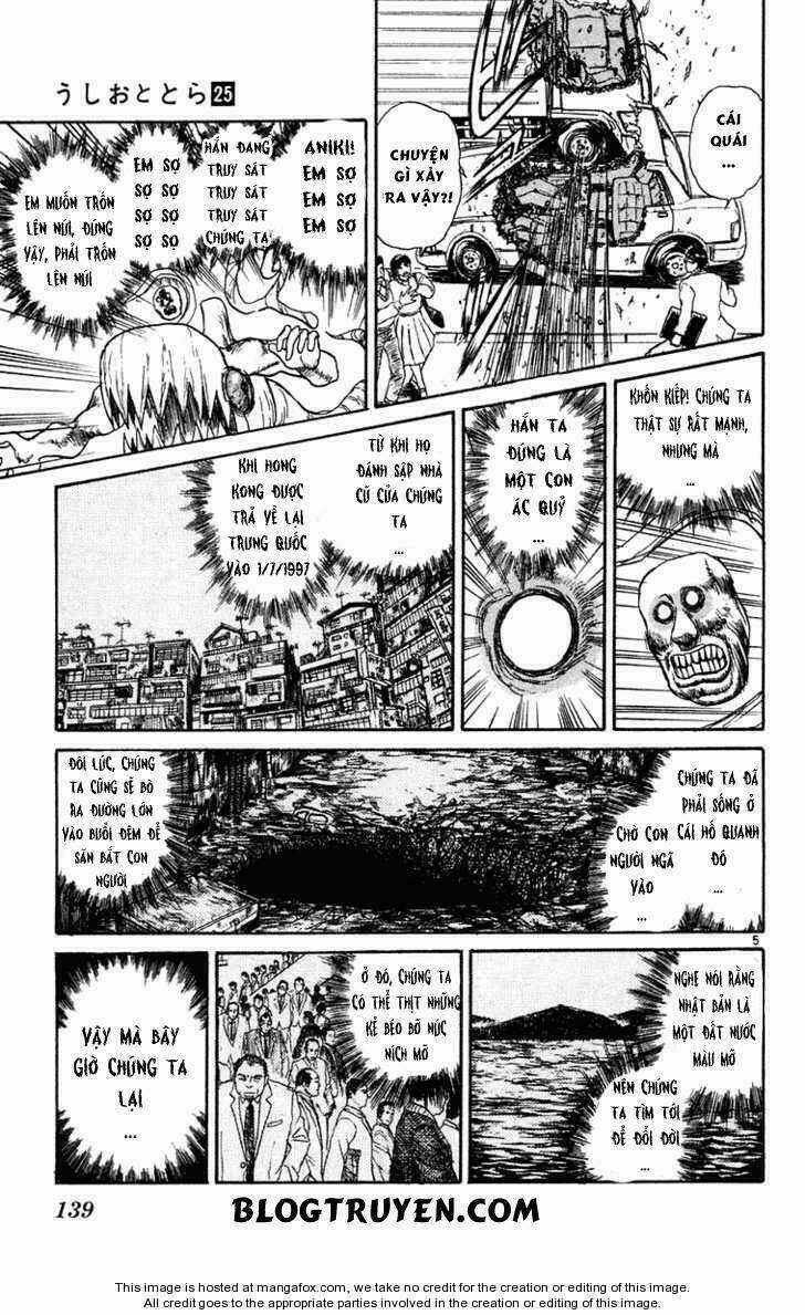 Ushio And Tora Chapter 236 trang 6