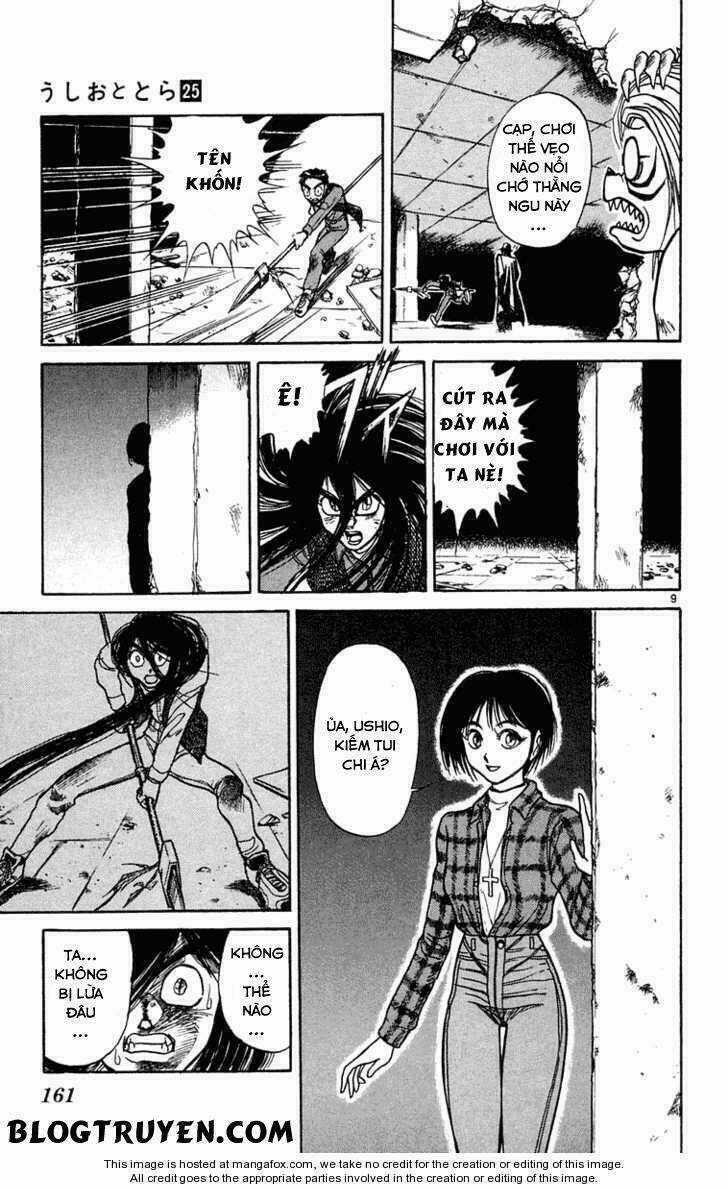 Ushio And Tora Chapter 237 trang 11