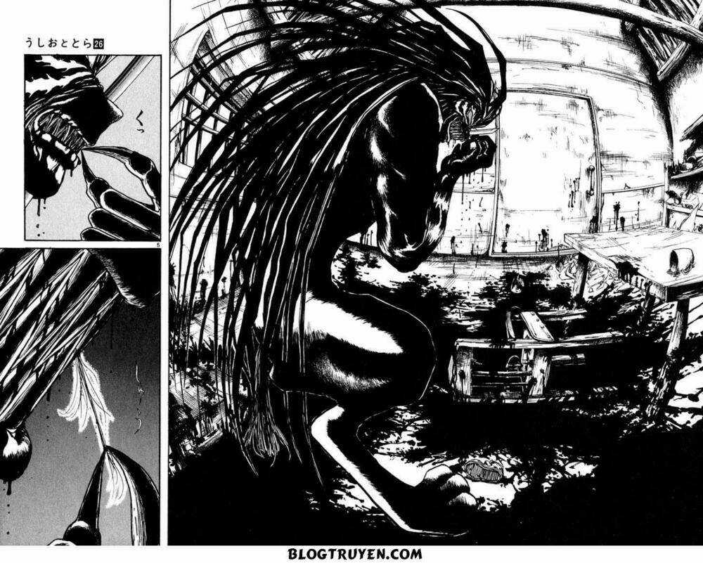 Ushio And Tora Chapter 244 trang 6