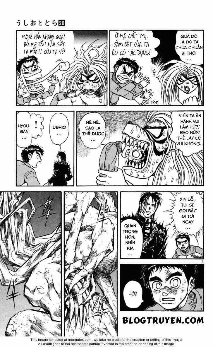 Ushio And Tora Chapter 246 trang 5