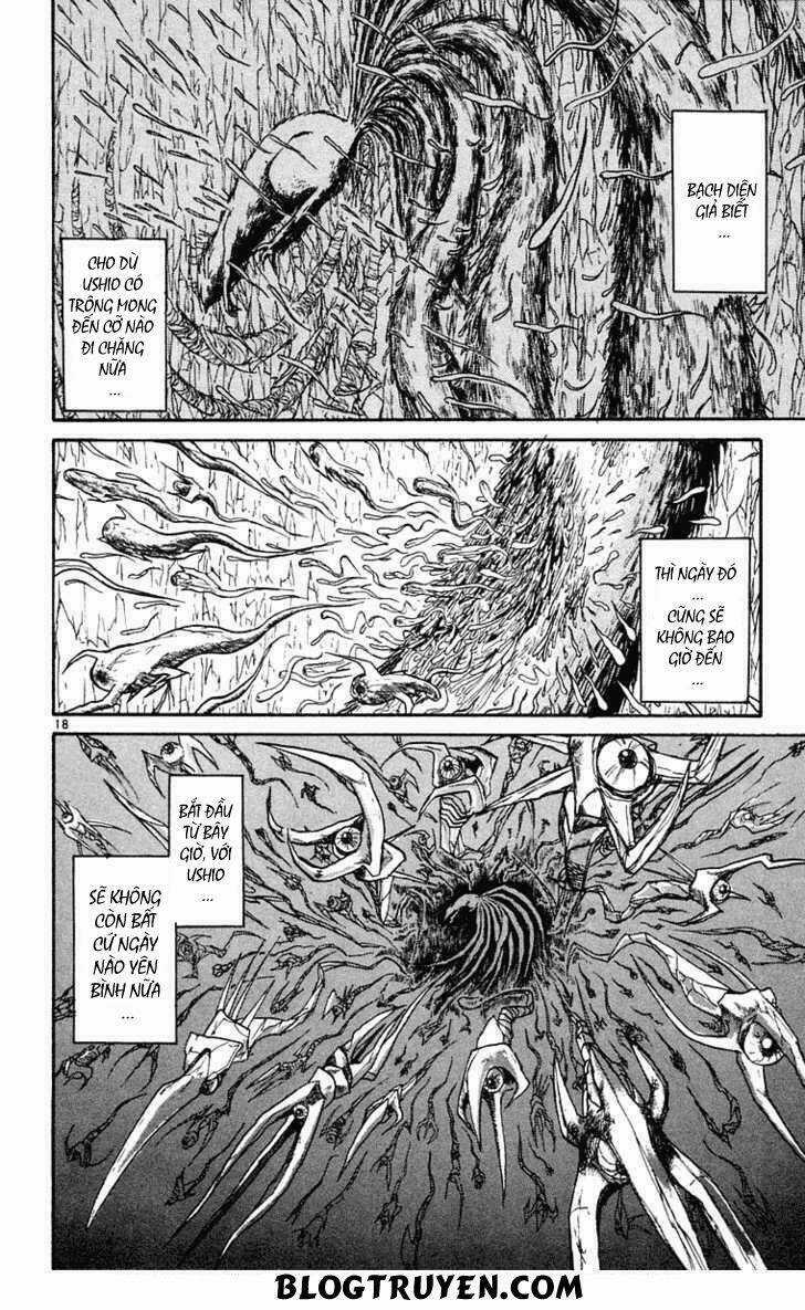 Ushio And Tora Chapter 247 trang 20