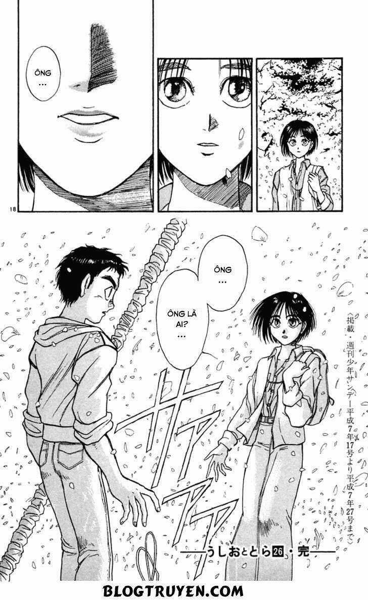 Ushio And Tora Chapter 248 trang 20