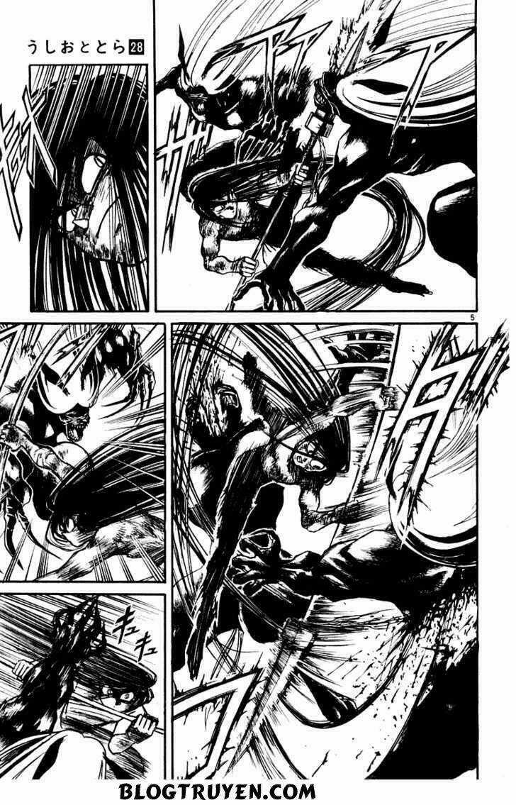Ushio And Tora Chapter 259 trang 10