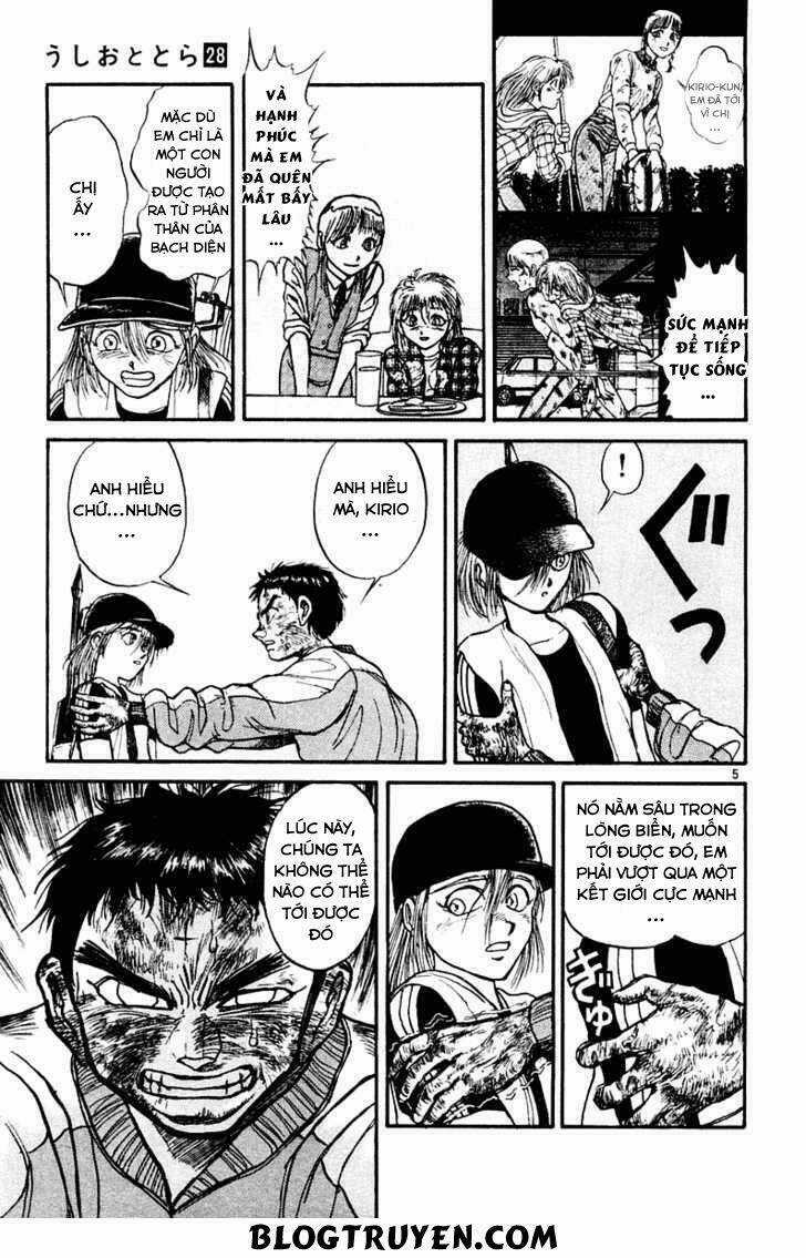 Ushio And Tora Chapter 262 trang 7