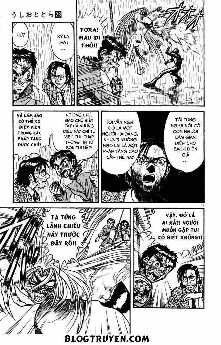 Ushio And Tora Chapter 263 trang 8