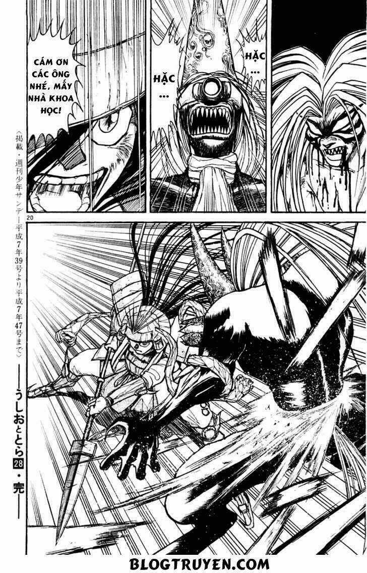 Ushio And Tora Chapter 267 trang 16