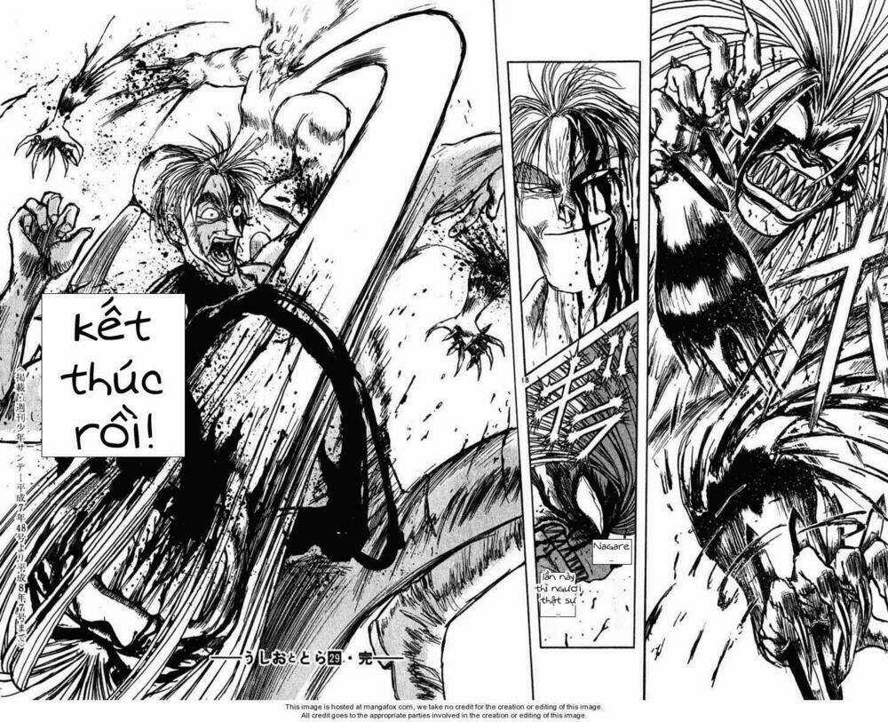Ushio And Tora Chapter 277 trang 20