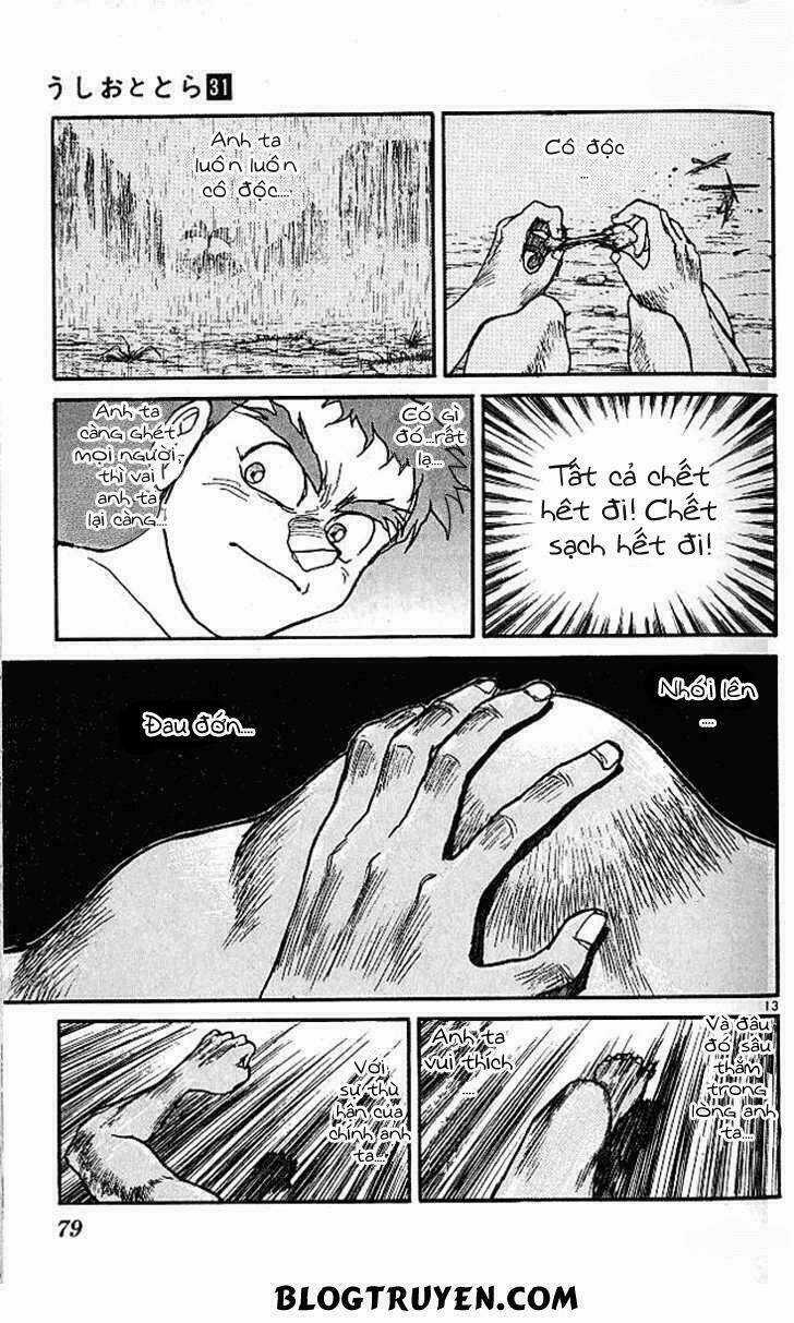 Ushio And Tora Chapter 291 trang 14