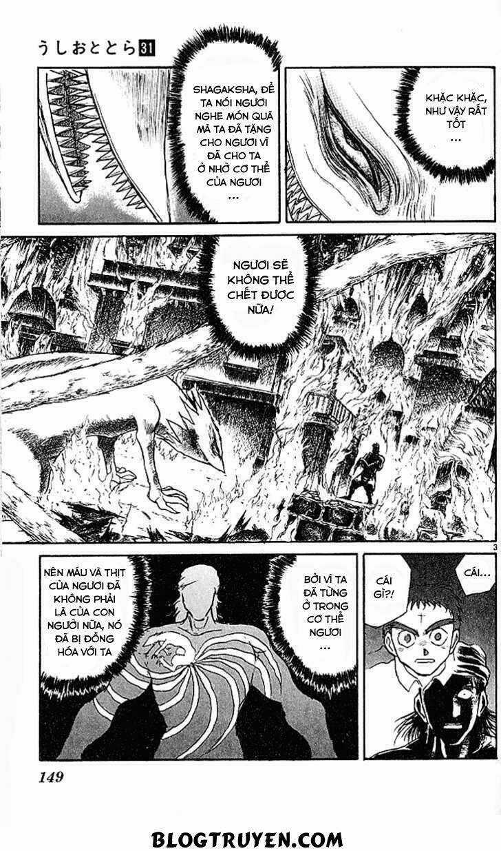 Ushio And Tora Chapter 295 trang 5