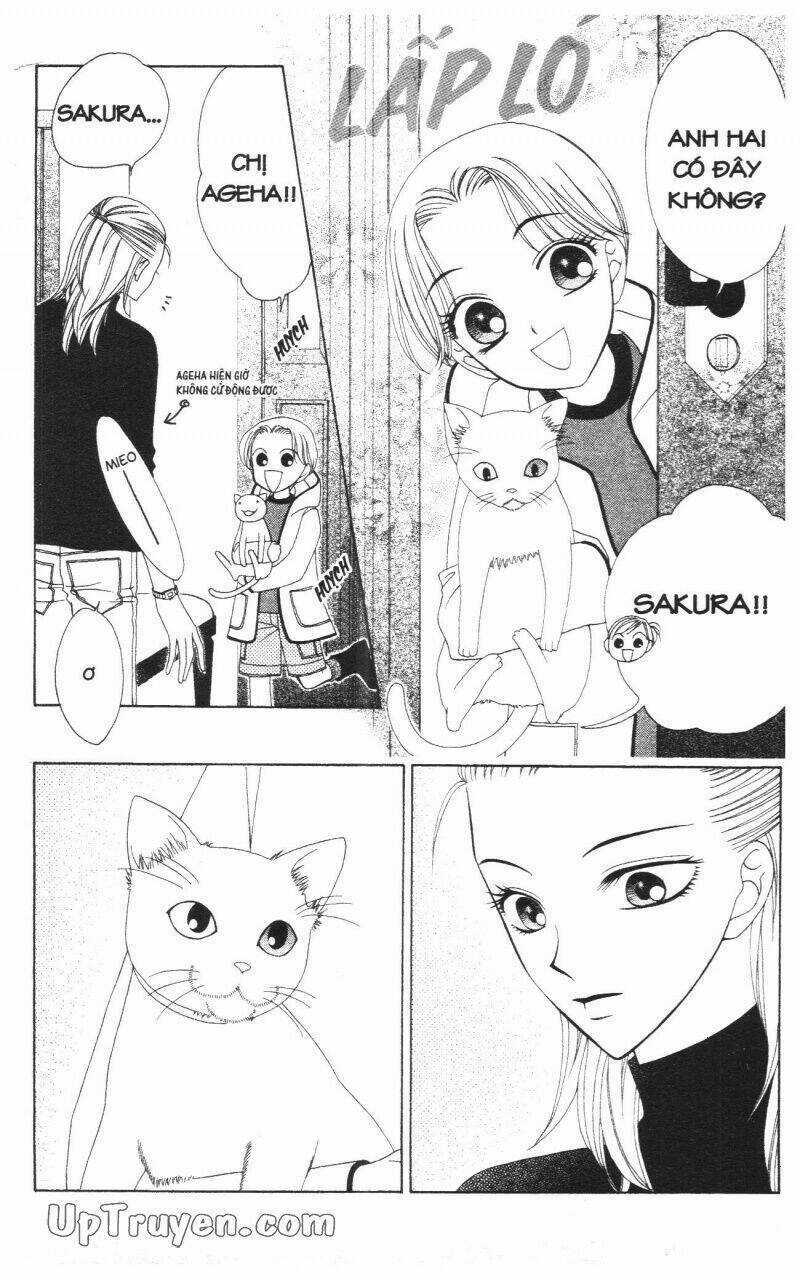 V.b.rose Chapter 9 trang 10