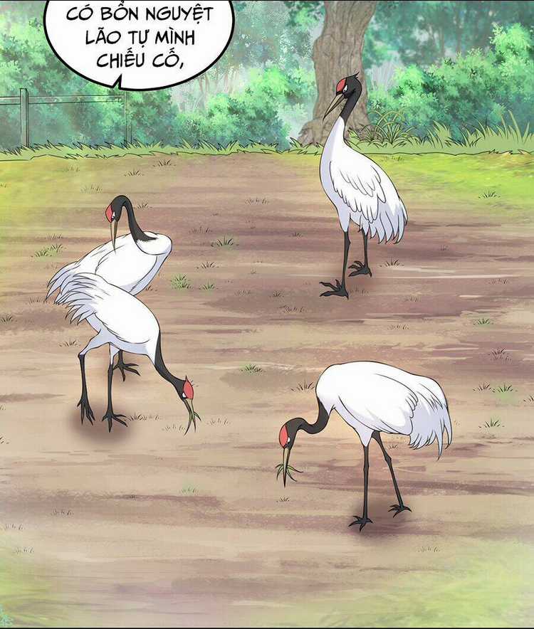 Vai Ác Sư Tôn Mang Theo Các Đồ Đệ Vô Địch Thiên Hạ, Nhân Vật Phản Diện Sư Tôn Ta Mang Theo Các Đồ Đệ Vô Địch Chapter 5 trang 49