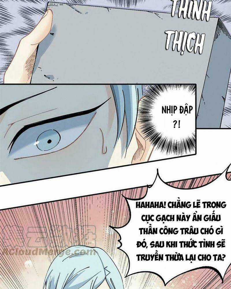 Vạn Cổ Đệ Nhất Tông Chapter 2 trang 14