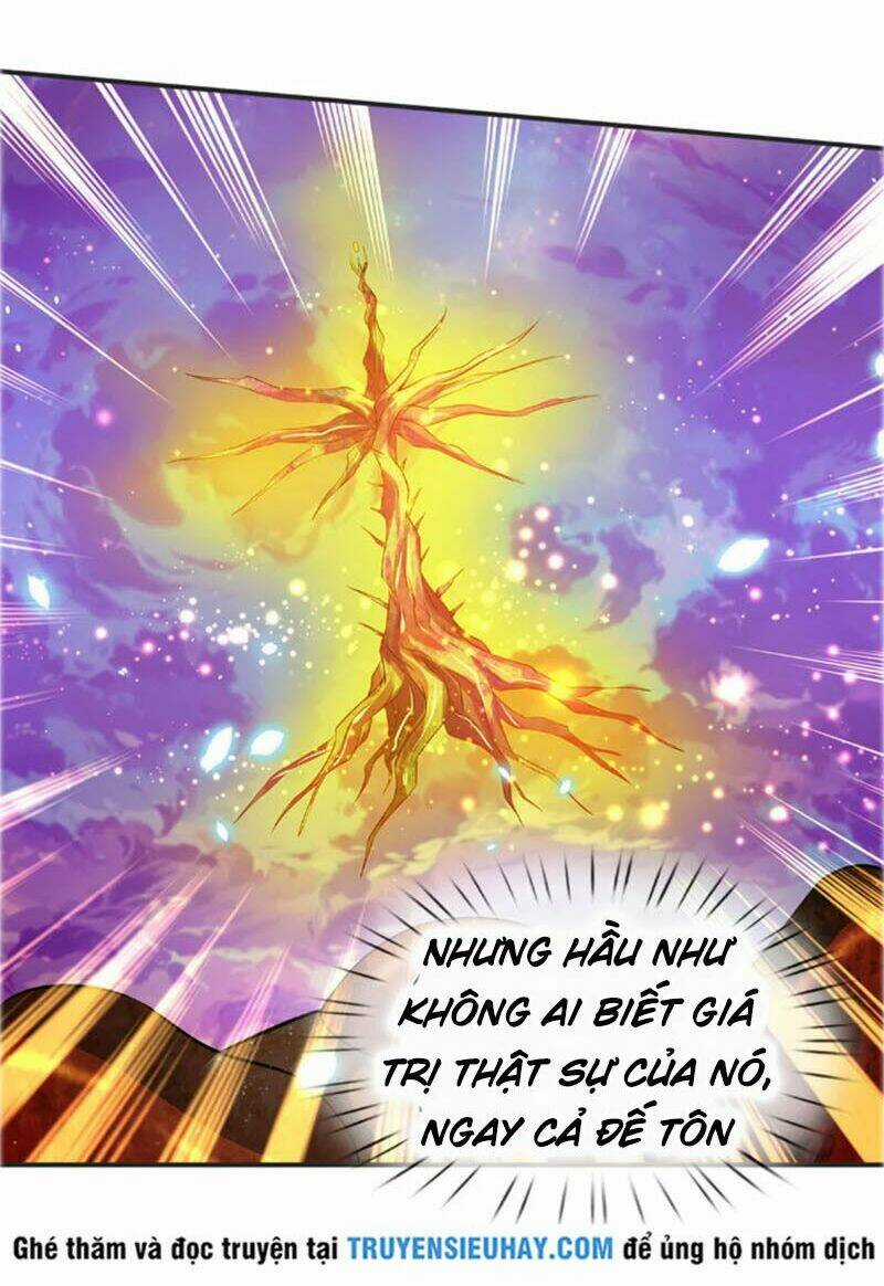 Vạn Cổ Thần Vương Chapter 25 trang 3