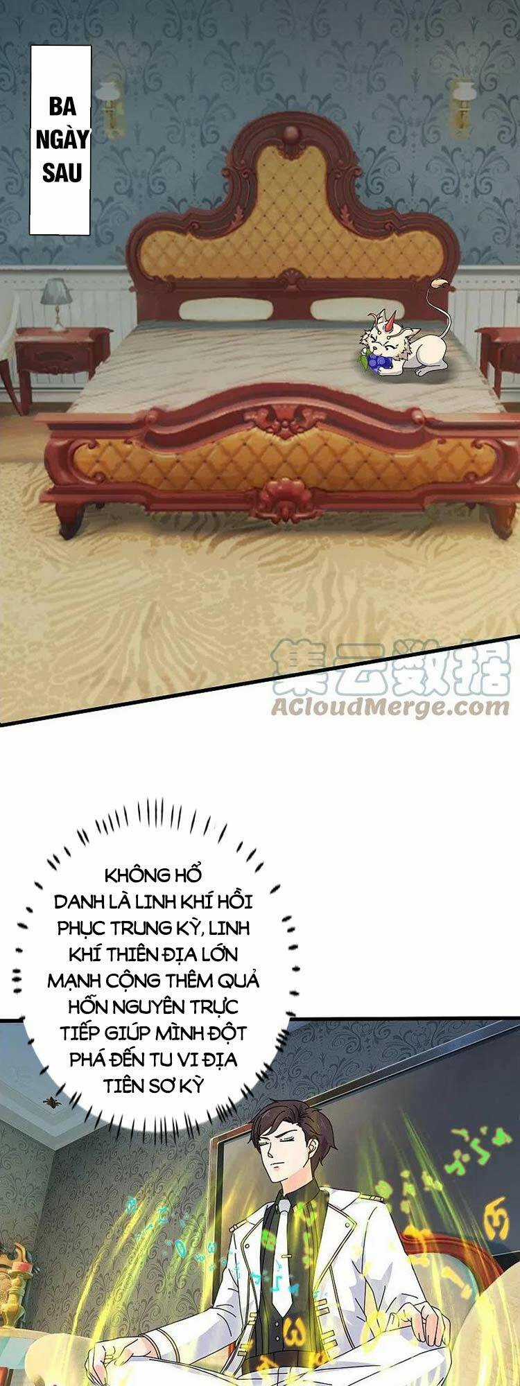 Vạn Cổ Thần Vương Chapter 384 trang 11