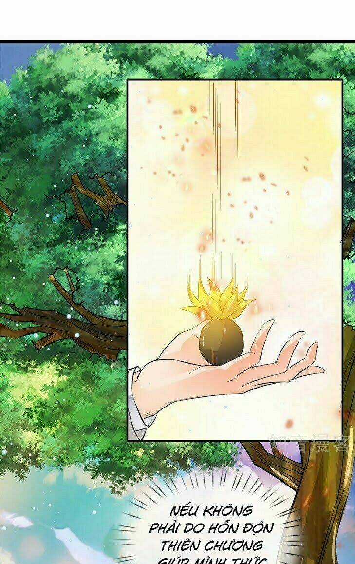 Vạn Cổ Thần Vương Chapter 6 trang 5