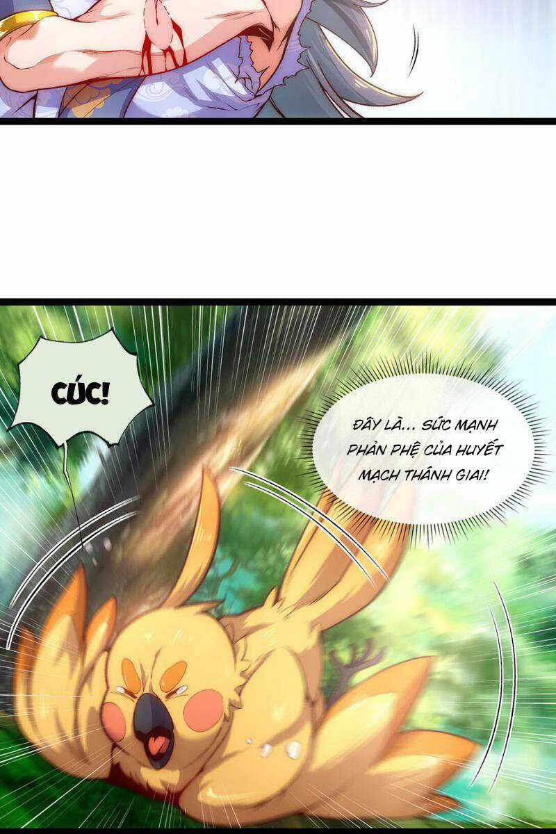 Vạn Cổ Thánh Tôn Chapter 5 trang 4