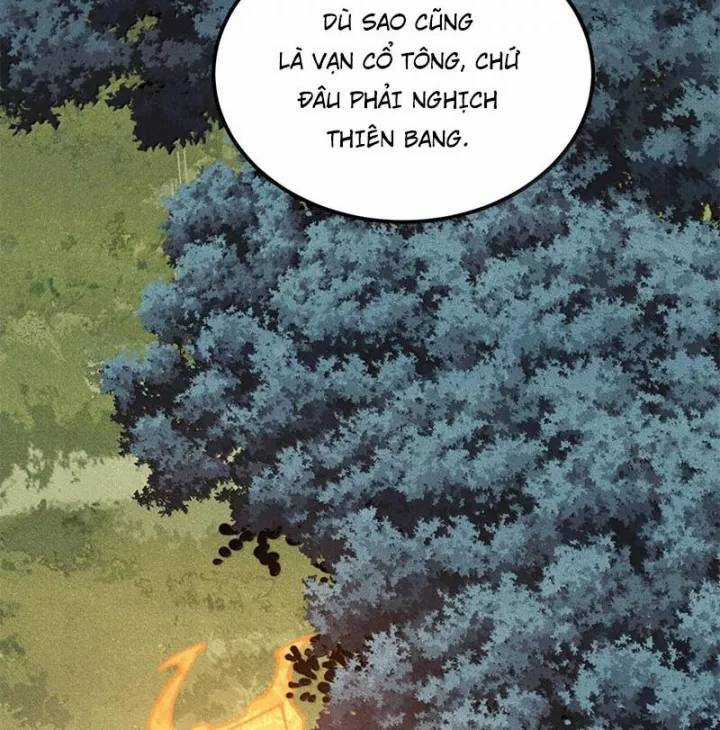 Vạn Cổ Tối Cường Tông Chapter 375.1 trang 13