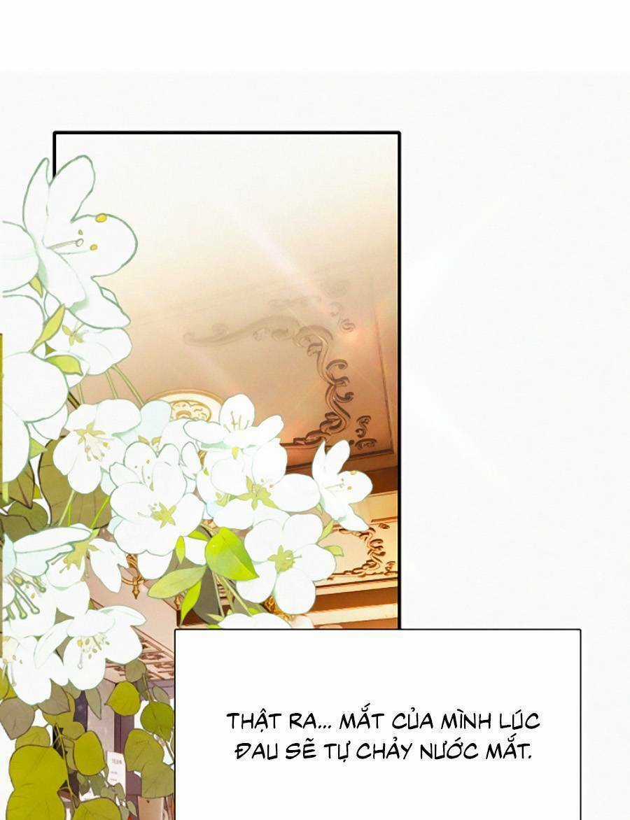 Vẫn Cứ Nuông Chiều Chapter 11 trang 2