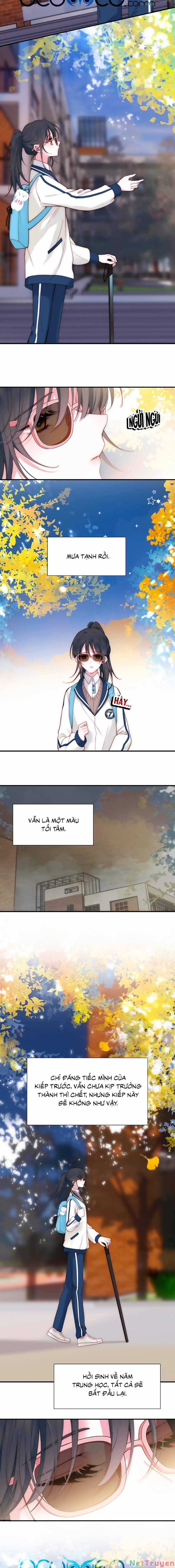 Vẫn Cứ Nuông Chiều Chapter 2 trang 7