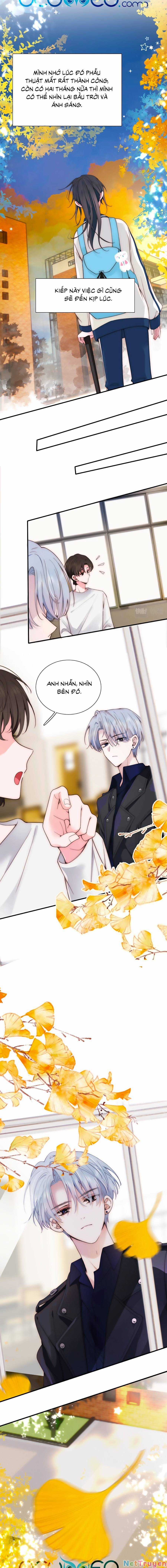 Vẫn Cứ Nuông Chiều Chapter 2 trang 8