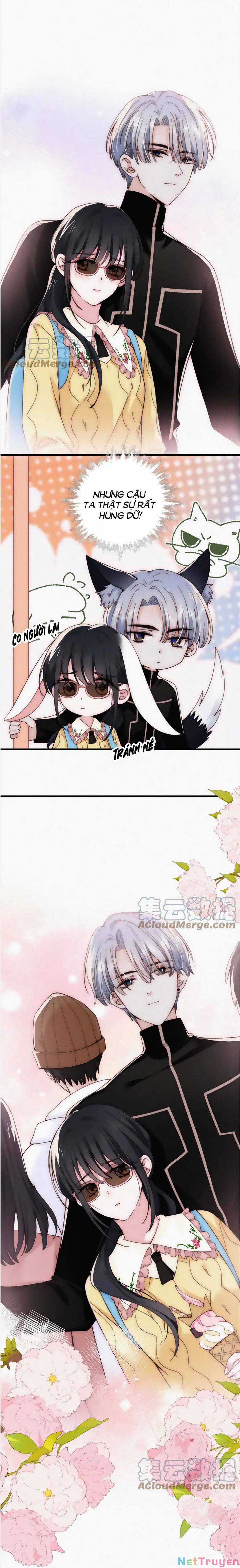 Vẫn Cứ Nuông Chiều Chapter 22 trang 2