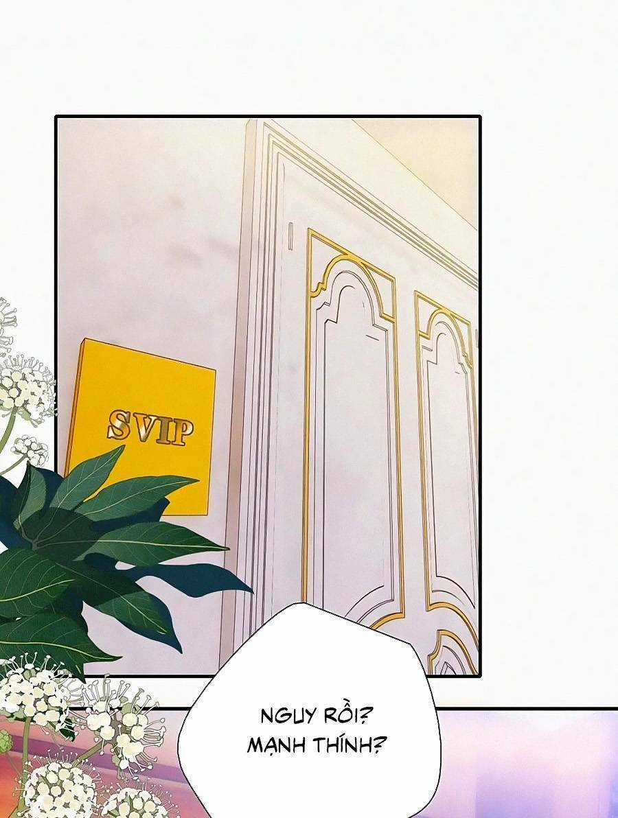 Vẫn Cứ Nuông Chiều Chapter 25 trang 16