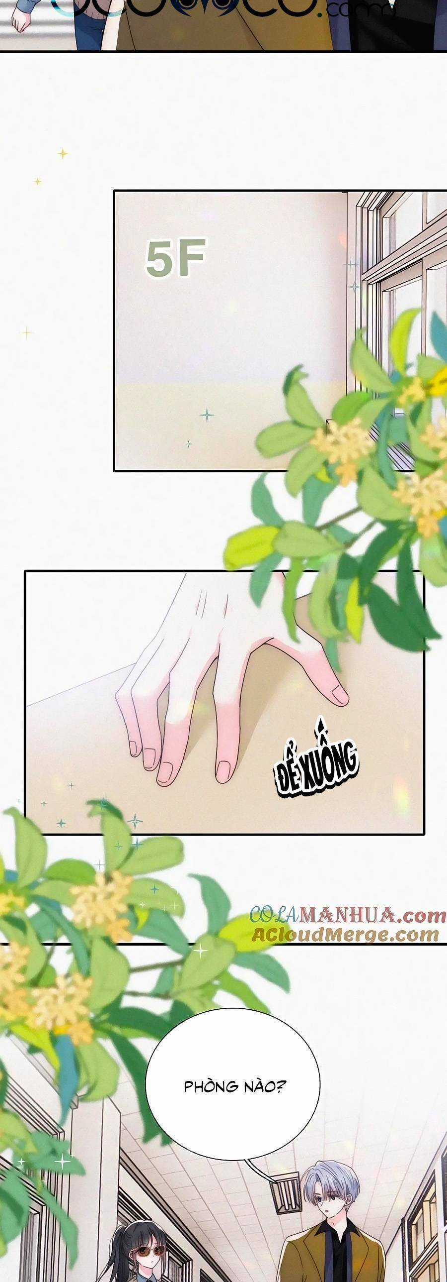 Vẫn Cứ Nuông Chiều Chapter 31 trang 19