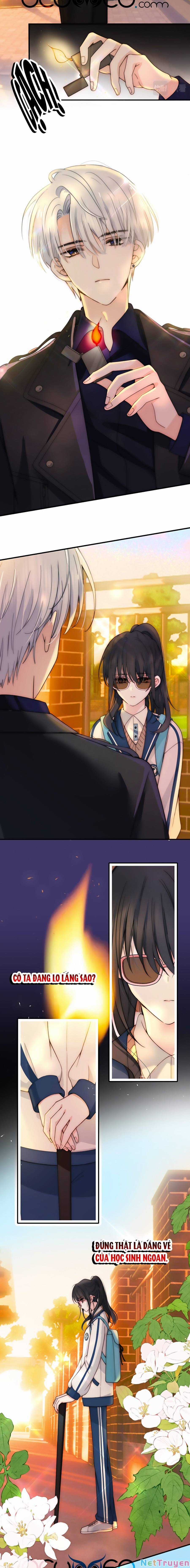 Vẫn Cứ Nuông Chiều Chapter 4 trang 4